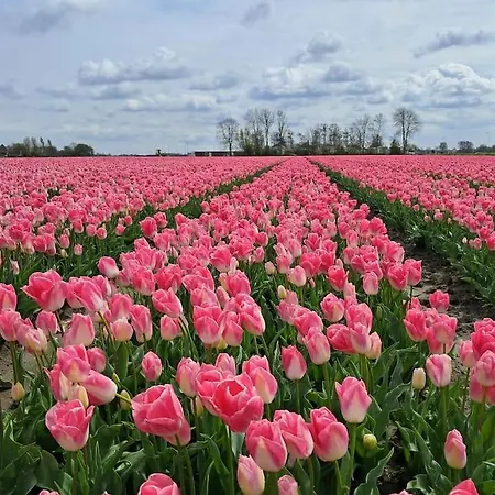 Vakantiehuis Strandhuisje Eva, Dicht Bij Zee